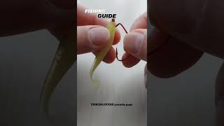 Lure Fishing for Beginners  Fishing Guide  Fishing Knots fishing angling fishingtips lrf [upl. by Eeralih864]