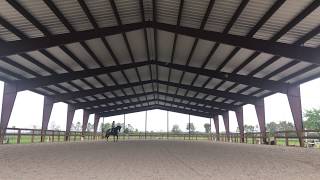 Covered Dressage Arena Boarding amp Training in Wellington Florida [upl. by Tressia691]