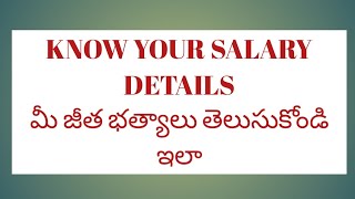 Employee Salary detailsap teachers pay detailsemployee pay details  pay slip [upl. by Bill529]