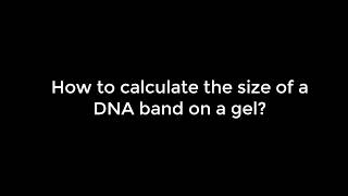 How to calculate the size of a DNA band on a gel [upl. by Blaze]