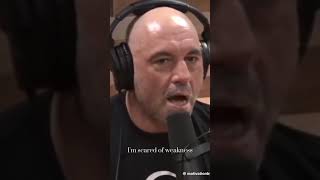 Does Joe Rogan cry [upl. by Ailecara]