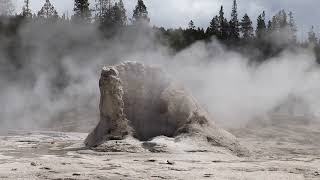 VOYAGE PRINTEMPS 2024  USA ET CANADA  Yellowstone National Park  Grand Teton  Madison Campground [upl. by Nosreffej70]