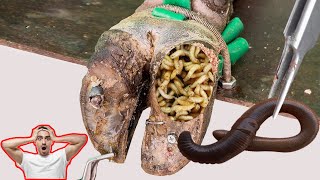 Cut Trim and Cleaning  Screw with Nails WAS STUCK IN cows hoof TK003 [upl. by Han]