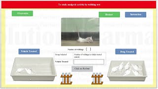 Writhing Test HINDI  To Study Analgesic Activity of Given Drug Via Writhing Test Through Expharm [upl. by Chao]