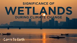 World Wetlands Day 2022 Importance of wetlands at the time of climate change [upl. by Neve]