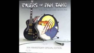 Tygers of Pan Tang The Spellbound Sessions PromoTyger Bay [upl. by Aztinay]