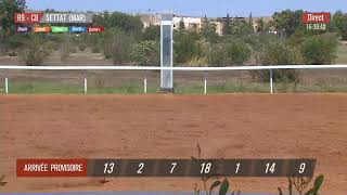 Live Hippodrome « SETTAT »  Courses du « 17062023 » [upl. by Georgianna]