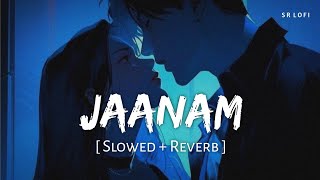 Jaanam Slowed  Reverb  Vishal Mishra  Bad Newz  Vicky Kaushal Triptii Dimri  SR Lofi [upl. by Eskill]