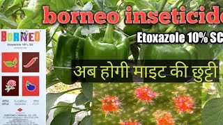 Sumitomo Borneo Etoxazole 10 SC Insecticides Red Spider Miteमाइटसाइड the smart farming [upl. by Miranda948]