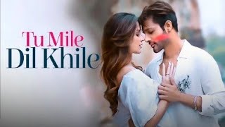 Tu Mile Dil Khile  Tu Mile Dil Khile Aur jine ko ky chaiye  KM AUDIO [upl. by Quintina]