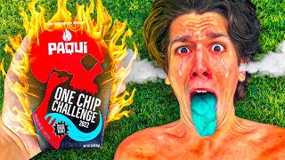 I Did The One Chip Challenge [upl. by Domonic140]