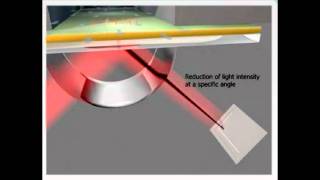 Surface Plasmon Animation [upl. by Ahsai]