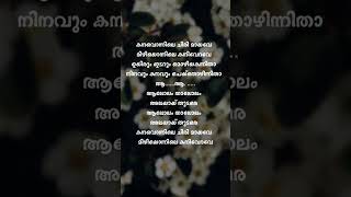 Kanavonnilae Chiri Mayave  Lyrics  Why Me Song Lyrics  Trending Song [upl. by Silin]