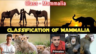 Lecture 12  Classification Of Class Mammalia  Prototheria amp Theria  Eutheria and Metatheria 🐒 [upl. by Riley]