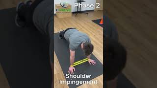 One Essential Exercise for Serratus Anterior  Plank to Pike with Bands for Shoulder Impingement [upl. by Miranda]