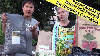 How to Make a Record Breaking Super Soil Recipe Mix for Living Soil  Top Dress Revealed [upl. by Lowson180]