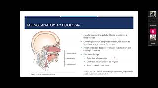 Clase 11A  Examen de boca y faringe [upl. by Dietsche999]