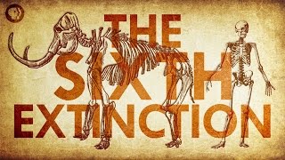 Are We Living In the Sixth Extinction [upl. by Moskow217]