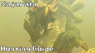 Hunting a Najarala  Hunting Guide  Monster Hunter 4 Ultimate [upl. by Mathilde786]