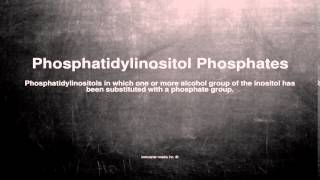 Medical vocabulary What does Phosphatidylinositol Phosphates mean [upl. by Butterfield]