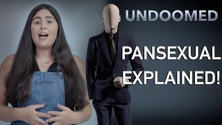 Pansexuality Explained [upl. by Cyprus24]