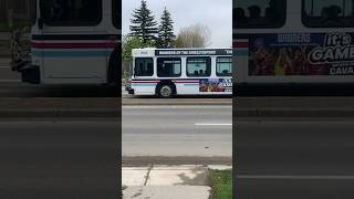 D40LF 7944 On Route 40 To Crowfoot Station transit viral bus travel shorts [upl. by Noelle]