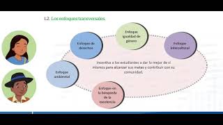 Los enfoques transversales [upl. by Sivia]