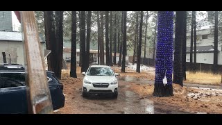 🔴Continued LIVE Coverage of Big Bear’s Major Winter Storm Major Snow expected LIVE 252024 [upl. by Ellinger]