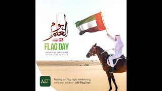 UAE FLAG DAY uae dubai flagday nationalday culture unity [upl. by Wolcott]