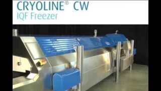 BOC Cryoline CW IQF Tunnel Freezer [upl. by Haggar572]