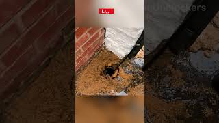 The Drain Unblockers 150 plumbing drain deepcleaning [upl. by Notac]