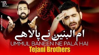 Nohay 2019  Tejani Brothers  Ummul Baneen Ne Pala Hai  Mola Abbas Noha 2019  Muharram 1441 [upl. by Wystand]