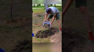 Burying Bamboo Before It Rains [upl. by Gine]