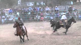 TOROS AL EXTREMO Toro de Lidia de Cascalote de Bravo feria Marzo 20 2016 [upl. by Haidedej]