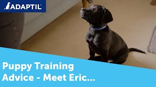 Puppy Training Advice with Rosie Bescoby  Full Length [upl. by Cogen430]