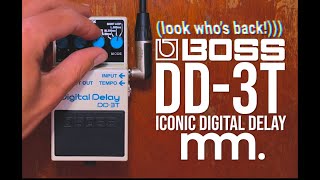 MusicMaker Presents  BOSS DD3T DIGITAL DELAY  A True Classic Returns [upl. by Magdalena672]