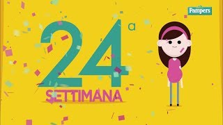 24° settimana di gravidanza [upl. by Anovahs]