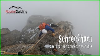 Schreckhorn SWGrat Normalroute [upl. by Wightman]