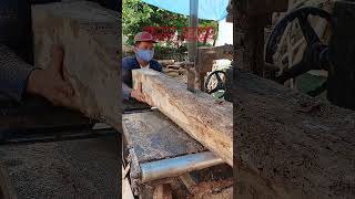 KERAS‼️Kayu Jati Di Rajang Gergaji Bandsaw [upl. by Lian]