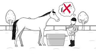 How to treat laminitis for your horse [upl. by Aihsotal]