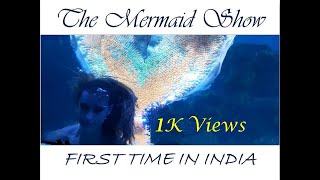 Mermaid Show 1  VGP Marine Kingdom  Indias First Real Mermaid Show  Chennai ECR [upl. by Retsim]