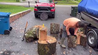 Splitting rounds of red oak using wedges [upl. by Vrablik]