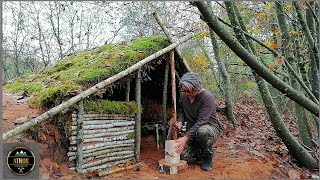 Primitive Survival Viking Woodcraft  Alone Woods day after day in my hud [upl. by Neemsaj775]