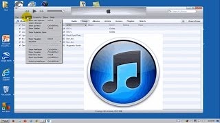 How To Delete Duplicate Songs Apple iTunes  Free amp Easy [upl. by Kyrstin276]