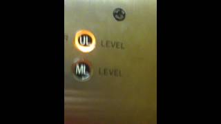 Otis Elevator And Escalators At Boscovs Park City Mall Lancaster PA [upl. by Nickolai]