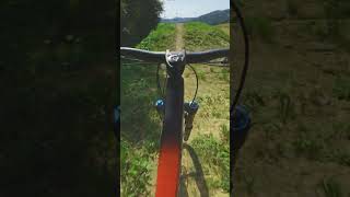 Bukovel Bike Park  Blue Line mtb freeridemtb freeride downhill shorts [upl. by Sucramel]