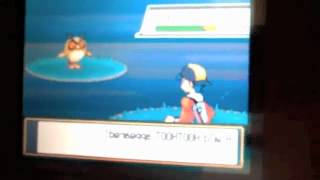 How to catch growlithe in pokemon heart gold and soul silver [upl. by Jovia]