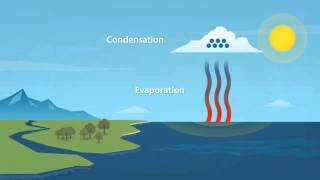 How does rain form and what is the water cycle [upl. by Spalding]