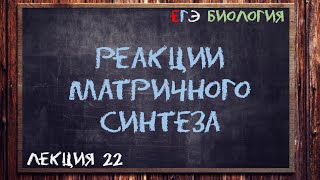 Л22  РЕАКЦИИ МАТРИЧНОГО СИНТЕЗА  ОБЩАЯ БИОЛОГИЯ ЕГЭ [upl. by Kyla415]