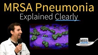 MRSA Pneumonia Explained Clearly by MedCramcom  Part 1 [upl. by Odidnac]